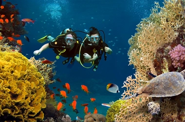 Exploration des fonds marins